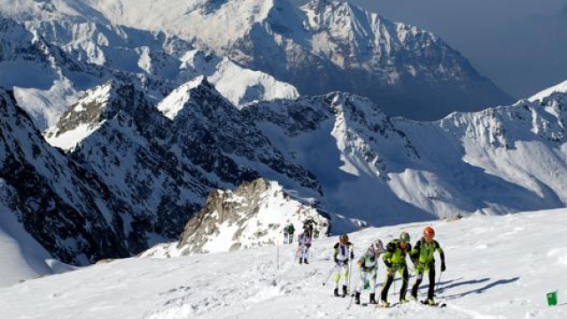Adamello Ski Raid, gara di scialpinismo a coppie, in una foto d’archivio