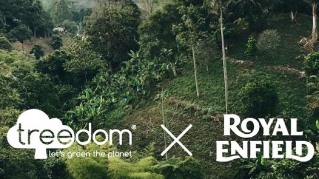 Treedom, azienda fiorentina, ha piantato più di 1.000.000 di alberi in Africa, America Latina, Asia e Italia