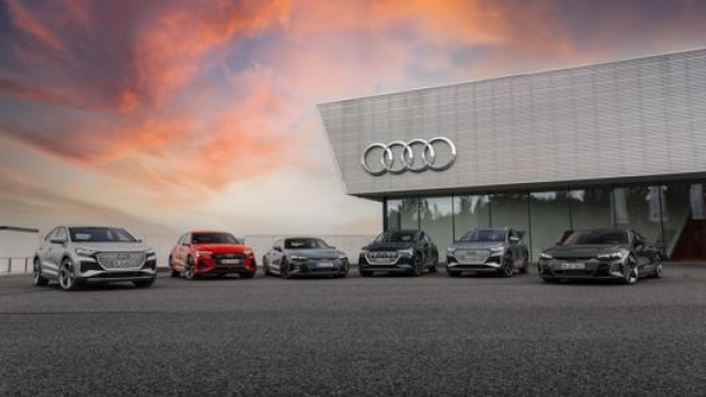Il software rappresenta un tema chiave. con il Progetto Audi Dna il marchio tedesco intende sviluppare una sensazione Audi unica per i suoi clienti