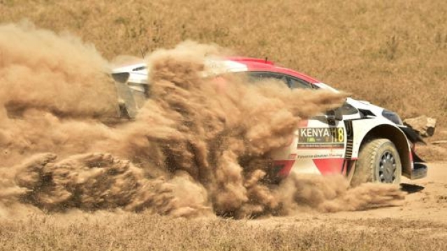 Katsuta (Toyota), secondo nel Safari Rally (Afp)