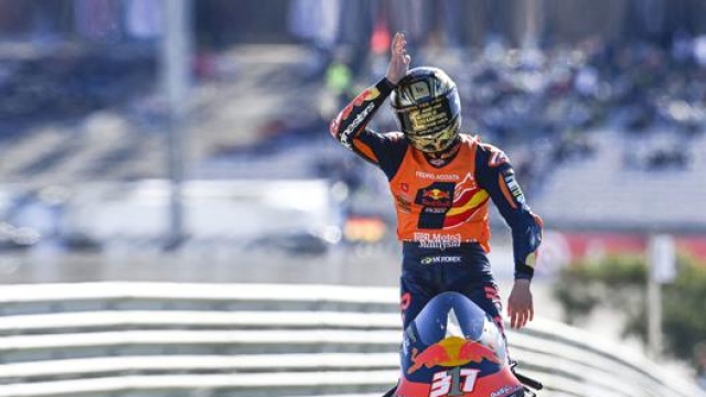 Pedro Acosta festeggia il suo titolo iridato nella Moto3