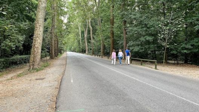 Viale Cavriga collega Monza e Villasanta all’interno del parco. Masperi