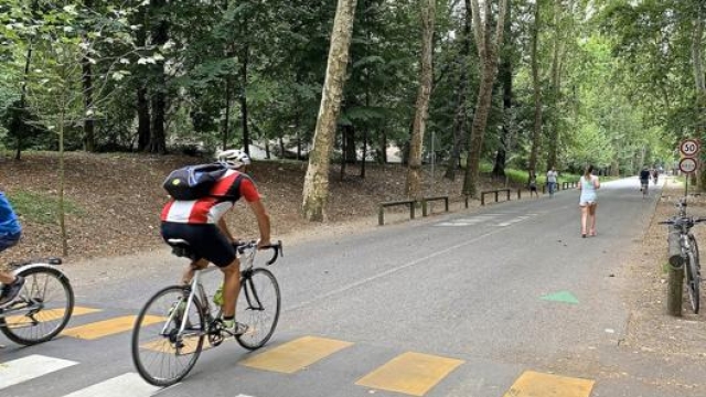Viale Cavriga nel Parco di Monza d’estate è frequentato da ciclisti e runner. Masperi