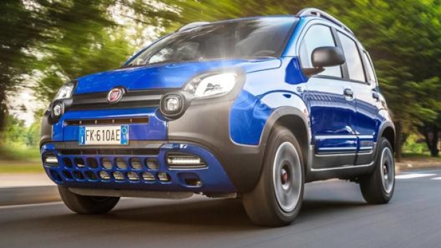 La Fiat Panda detiene diverse prime posizioni: è l'auto usata più venduta in assoluto nonché regina tra quelle alimentate a benzina, a Gpl e a metano
