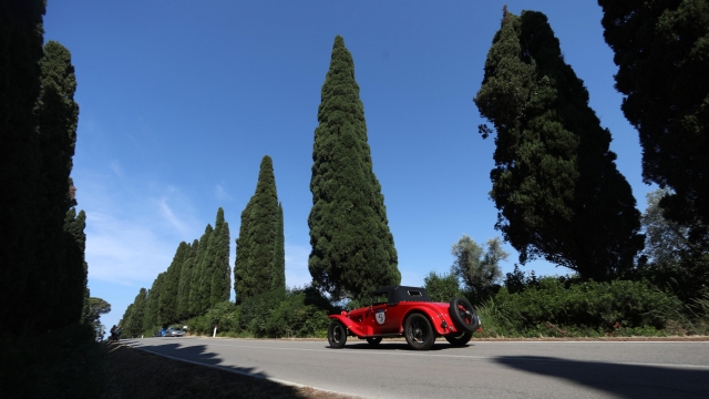 Vintage and historic cars during the 'Mille Miglia' vintage car rally, while passing through the cypress avenue that leads to Bolgheri near Livorno in Tuscany,  Italy, 17 June 2021. The classic Mille Miglia (1,000 Miles) is a race from Brescia to Rome and back. ANSA /MATTEO BAZZI