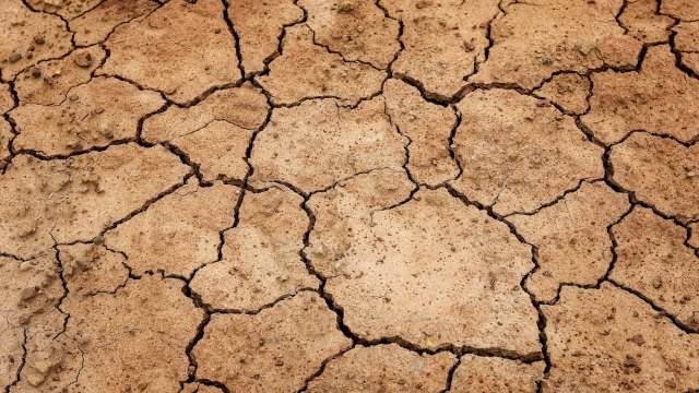 La siccità causa conseguenze dirette all'agricoltura, all'industria e alle abitudini dei singoli cittadini