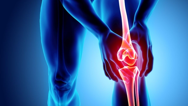 Correre fa male a cartilagini ginocchia
