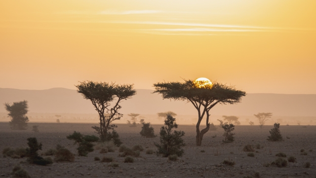 Il fascino dell'Africa in uno scatto di Andrea Paternò
