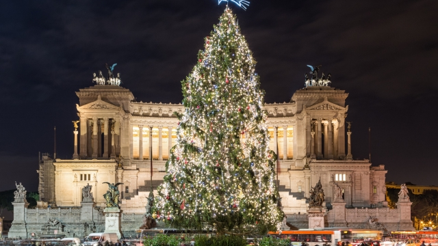L'albero di Natale in Piazza Venezia a Roma
