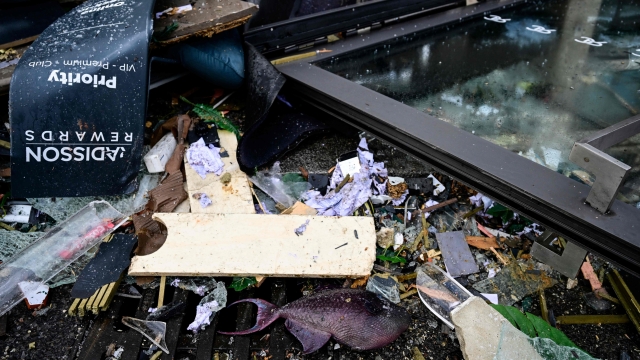 A dead fish lies in the debris in front of the Radisson Blu hotel, where a huge aquarium located in the hotel's lobby burst on December 16, 2022 in Berlin. - The AquaDom aquarium has burst and the leaking water has forced the closure of a nearby street, police and firefighters said. Berlin police said on Twitter that as well as causing "incredible maritime damage", the incident left two people suffering injuries from glass shards. The cylindrical aquarium contained over a million litres of water and was home to around 1,500 tropical fish. It had a clear-walled elevator built inside to be used by visitors to the Sea Life leisure complex. (Photo by John MACDOUGALL / AFP)