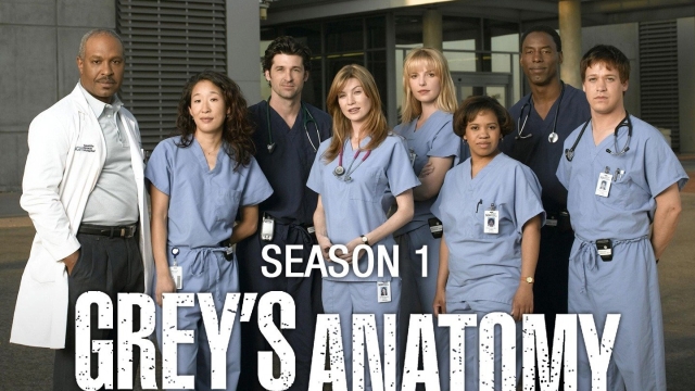 Grey's Anatomy, ieri e oggi: ecco che fine hanno fatto gli attori del cast della prima stagione