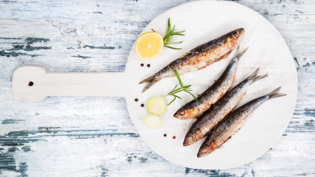 Delicious grilled sardines on wooden kitchen board on white and blue wooden textured background. Culinary seafood eating.