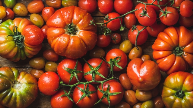 Colorful tomatoes of different sizes and kinds, top view, horizontal composition
