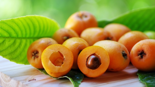 Loquat Medlar fruit isolated on a green background