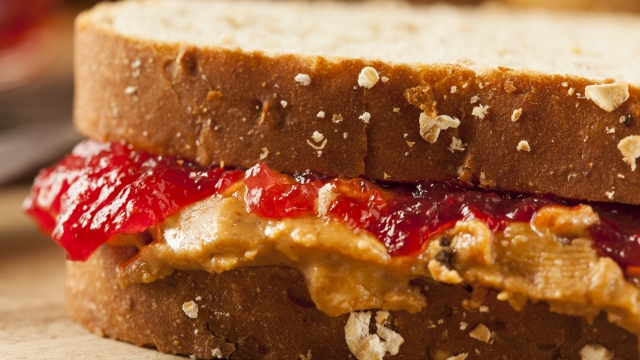 Homemade Peanut Butter and Jelly Sandwich on Whole Wheat