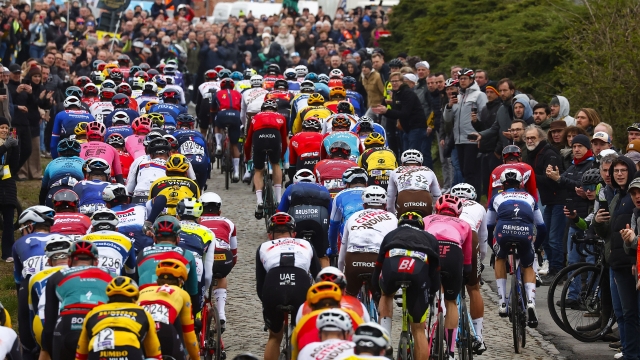 Ronde van Vlaanderen 2023 - Tour des Flandres - 107th Edition - Brugge - Oudenaarde 273,4 km - 02/04/2023 - Scenery - Peloton - Pavè - Climb - photo Luca Bettini/SprintCyclingAgency©2023