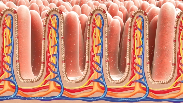 3D illustration close-up Intestinal villi. Intestine lining. Microscopic villi and capillary. Human intestine. Concept of a healthy or diseased intestine.