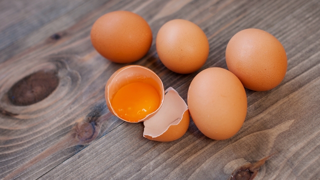 Group of brown eggs
