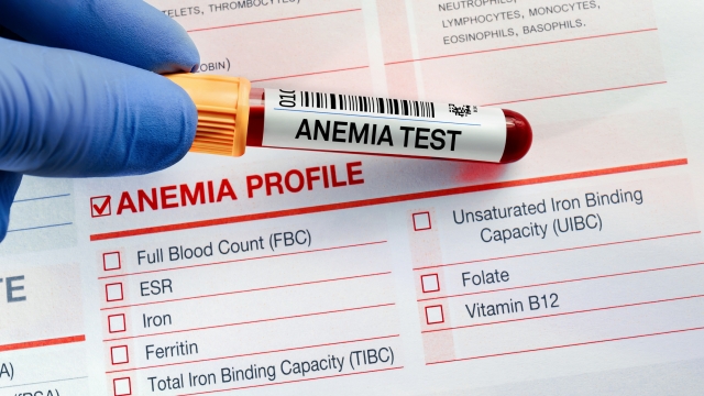 Blood sample for analysis of Anemia profile test in laboratory. doctor holding Blood tube test with requisition form for Anaemia test
