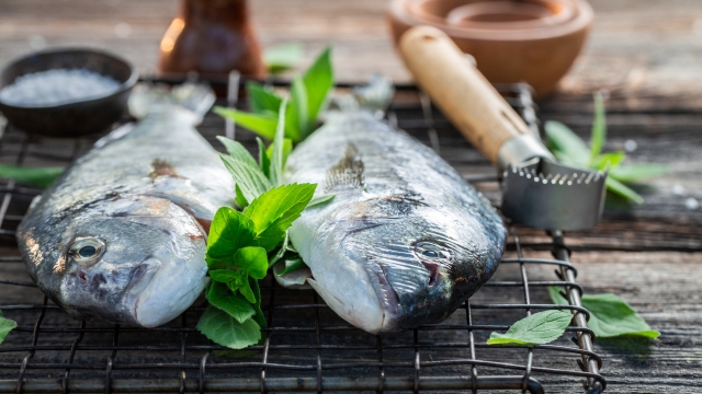 Preparing whole sea bream with lemon and mint for grill in summer