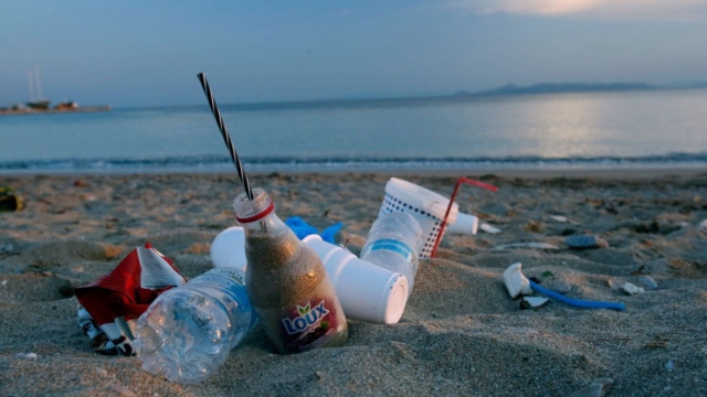 Plastica, il Wwf: "L'inquinamento ha superato il limite planetario"