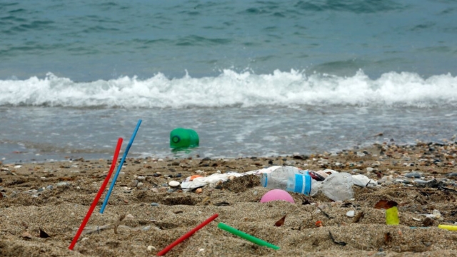 Plastica, il Wwf: "L'inquinamento ha superato il limite planetario"
