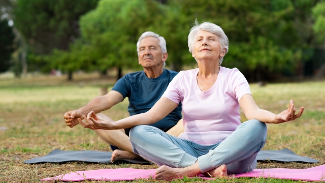Old couple relaxing while sitting in lotus pose. Senior man and elderly woman meditating sitting in lotus position at park with closed eyes. Aged man and woman feeling relaxed sitting on yoga mat.