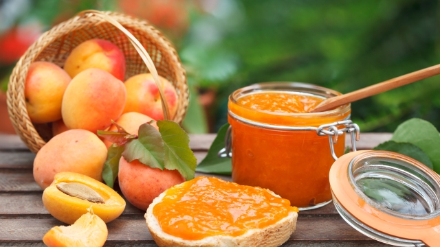 Breakfast with homemade bread and apricot jam in the garden