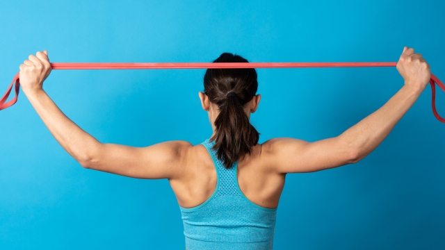 Back view of sportive hispanic woman using pilates rubber gum isolated on blue background. Muscle and bodybuilding concept