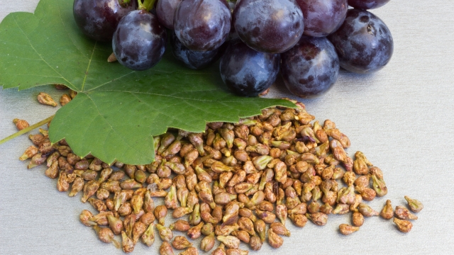 Grapes and grape seeds on the table