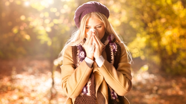 Allergie autunnali sintomi e rimedi