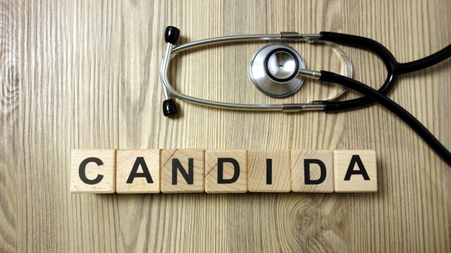 Candida word with stethoscope on wooden desk background