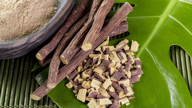 Licorice root in bowl on wooden background close-up image