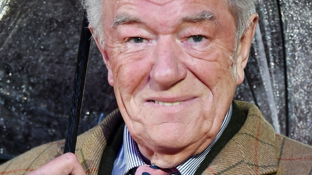 epa10887533 (FILE) - British actor/cast member Michael Gambon poses for pictures during the World Premiere of 'Dad's Army' at Leicester Square in London, Britain, 26 January 2016 (reissued 28 September 2023). Michael Gambon died at the age of 82, accoerding to a family statement issued by his publicist on 28 September 2023.  EPA/ANDY RAIN *** Local Caption *** 52553825