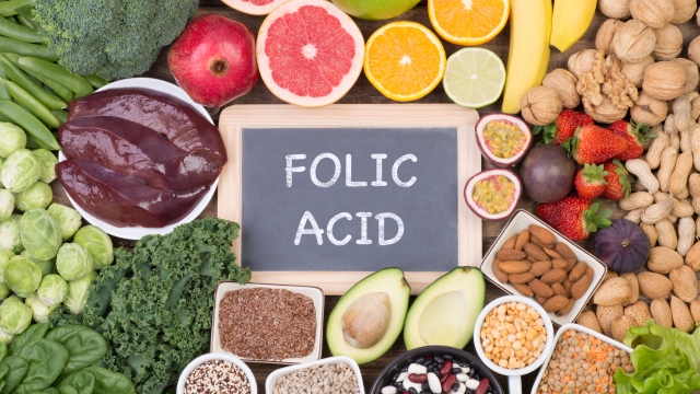 Food rich in folic acid, top view