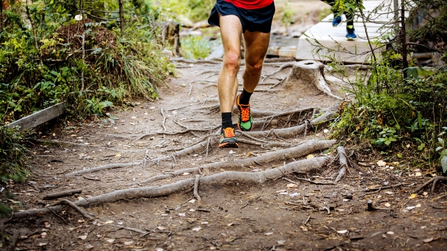 foot runner man running in woods on roots of trees