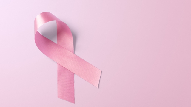 Giornata contro cancro al seno - Pink Day 2023