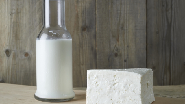 Fresh feta cheese with bottle of milk on a wooden table