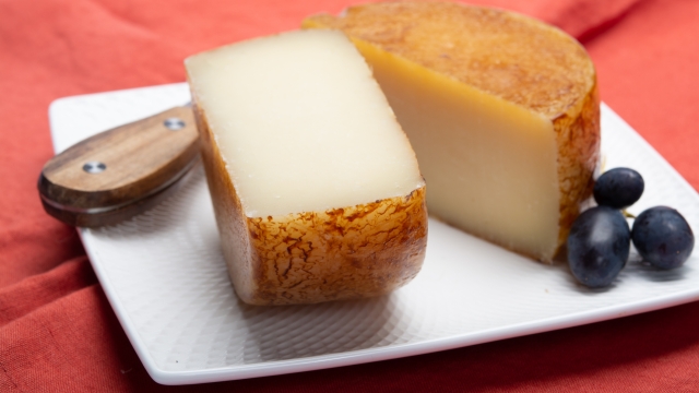 Hard Italian pecorino sheep cheese in two pieces close up isolated