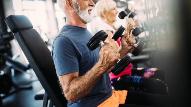 Portrait of senior couple exercising in modern gym