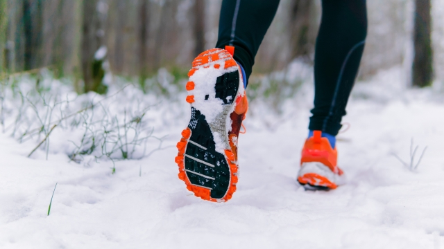 legs of a runner in sneakers while jogging in winter on a snowy path in a park