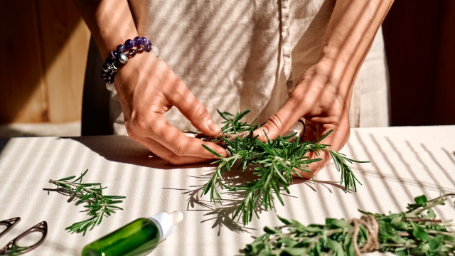 Alternative medicine. Women's hands tie a bunch of rosemary. Woman herbalist preparing fresh fragrant organic herbs for natural herbal treatments.