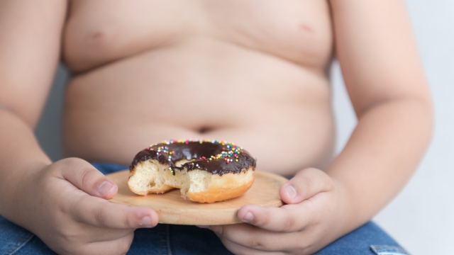 donut in hand obese fat boy on gray background, junk food can cause obesity.