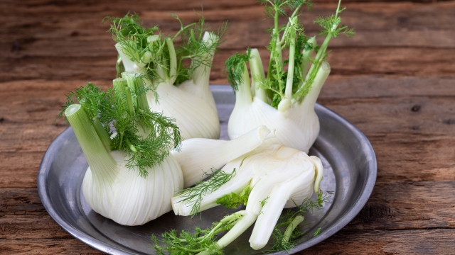 Fresh organic fennel on table.On a wooden background