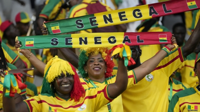 Senegal fans cheer their team during the African Cup of Nations Group C soccer match between Senegal and Cameroon, at the Charles Konan Banny stadium in Yamoussoukro, Ivory Coast, Friday, Jan. 19, 2024. (AP Photo/Sunday Alamba)