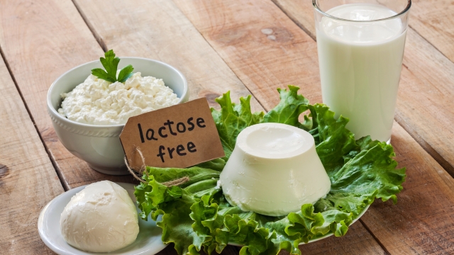 lactose free intolerance - food with background