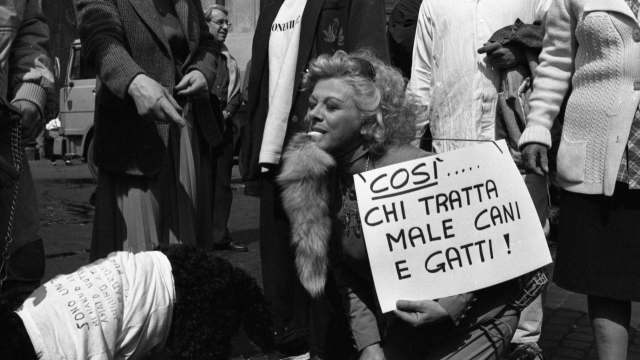 Manifestazione contro il randagismo. Nella foto Sandra Milo. Roma, 16 aprile 1988  ARCHIVIO ANSA R 15125