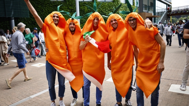 epa10723800 The carrot-costumed 'Carota Boys', supporters of Italian Jannik Sinner, react at the Wimbledon Championships, Wimbledon, Britain, 03 July 2023.  EPA/TOLGA AKMEN   EDITORIAL USE ONLY