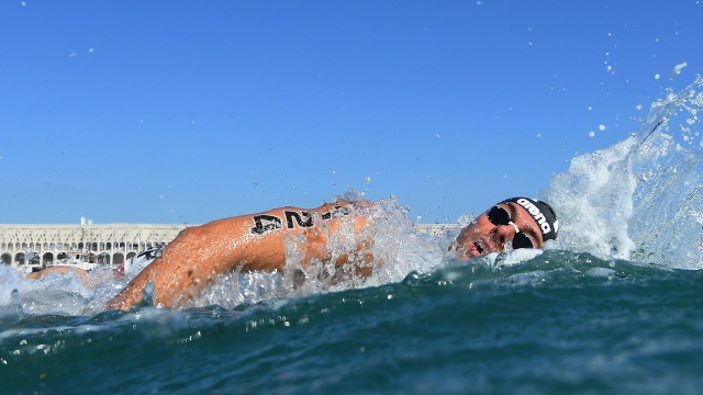 DOHA, QATAR - FEBRUARY 07: Gregorio Paltrinieri of Team Italy competes in the Men's Open Water 5km on day six of the Doha 2024 World Aquatics Championships at Doha Port on February 07, 2024 in Doha, Qatar. (Photo by Quinn Rooney/Getty Images)