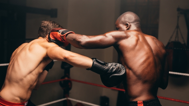 Two multiracial boxers throwing punches during a fight in a boxing ring. Two athletic young men having a boxing match in a fitness gym.